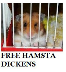 article-new-thumbnail_ehow_images_a06_07_3v_hamsters-care-training-800x80032