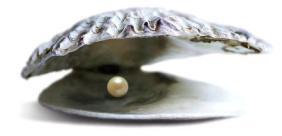 oyster