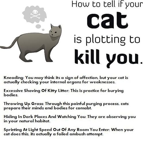 suspicious_cat