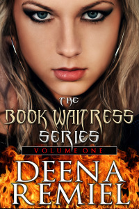 BookWaitressSeriesVol1_300