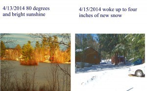 new snow