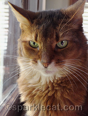 This is my CEO portrait