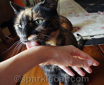I think human skin tastes icky, personally