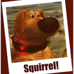 squirrel!