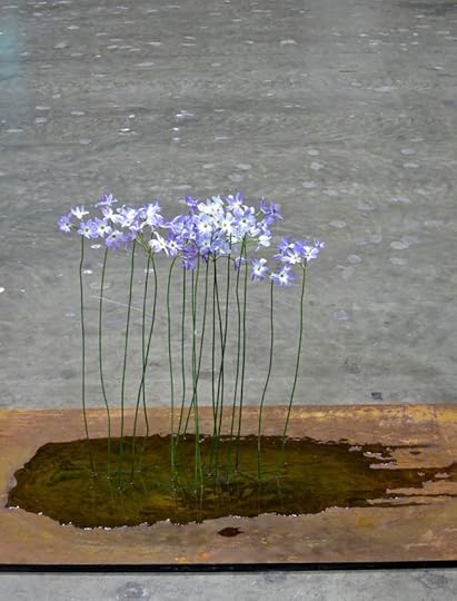 FlowerDream1