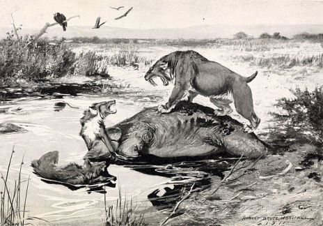 ice age US copyright expired