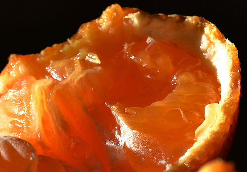 DSC_1709 Clementine (Macro).