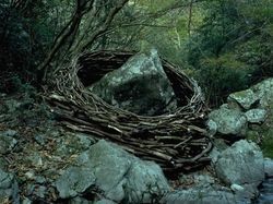 Environmental art by Andy Goldsworthy