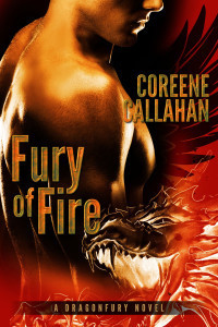 FuryofFire