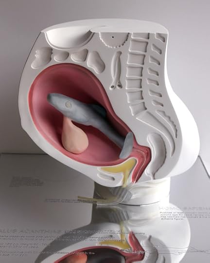 I Wanna Deliver A Dolphin by Ai Hasegawa