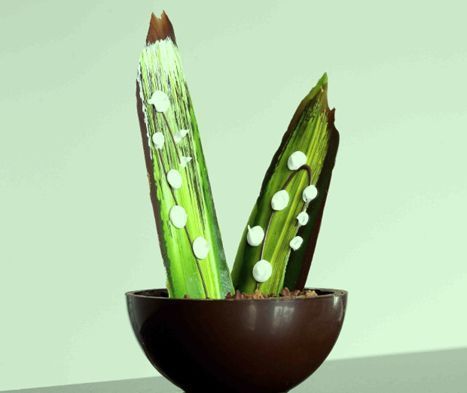 muguet patrick roger