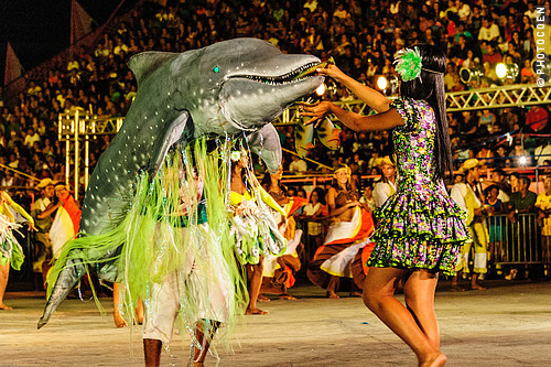 cbw_20120915_Brazil_N6464