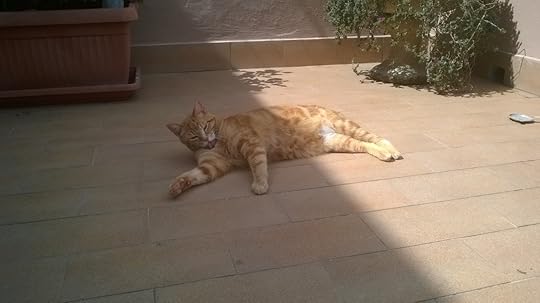 Image and video hosting by TinyPic