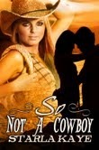 sonotacowboy_500x755