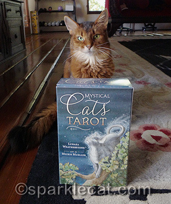 This box is almost as big as me!