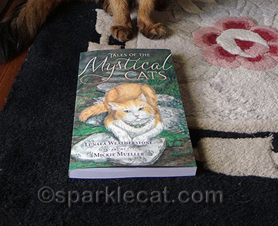 The book is also nicely designed!