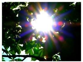 springtime sun