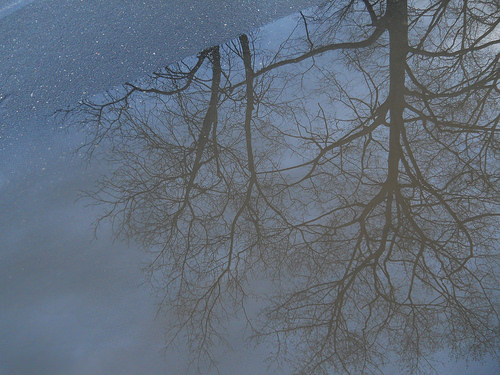puddle worlds