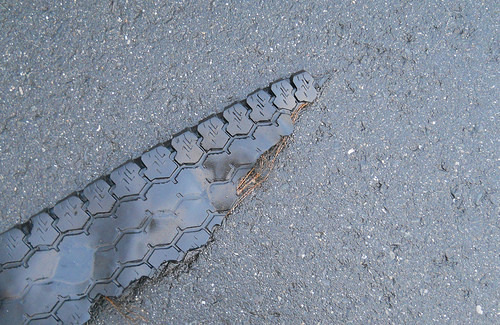 dinosaur skin