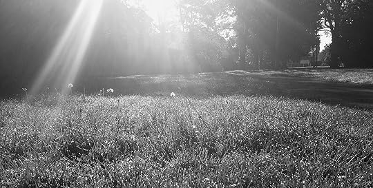 #41 Black & White