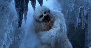 Wanted: one snuggly young boy for cuddles and arm wrestling.