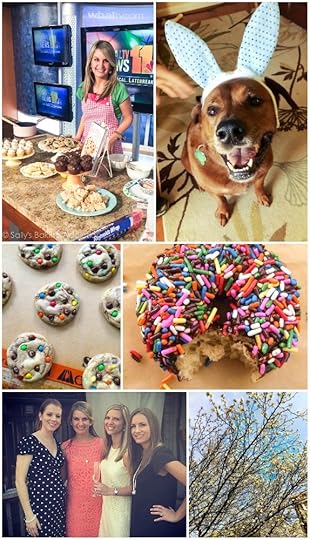 Photo A Day for April