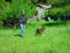 Tajji and Dave training in the 