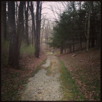 Braddock Road Remnant