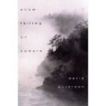 Snow Falling on Cedars