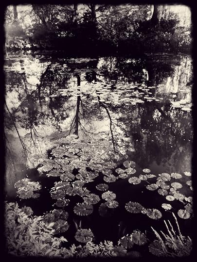 Giverny via iPhone 3 © Harold Davis