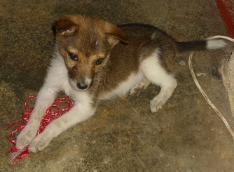 Picture