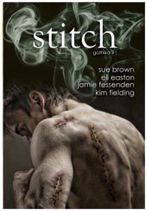 Stitch_br