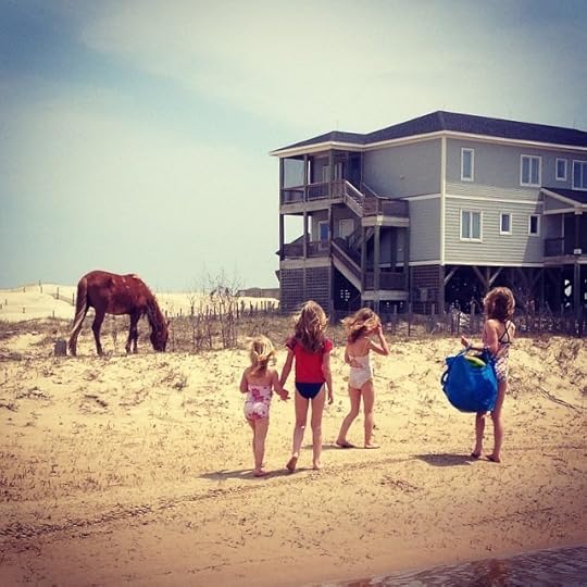 Corolla, NC Wild Horses