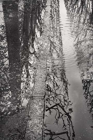 Splash © Harold Davis