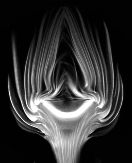 MRI of artichoke by Andy Ellison.