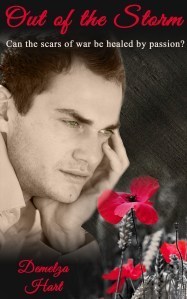 out of the storm cover