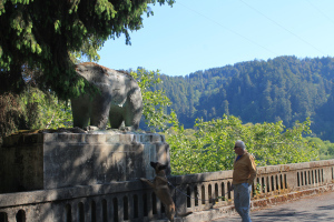 Keeno and Bill discover another bear on the Klamath River 