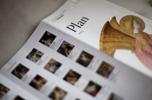 _MG_6665 copy