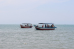 Scenic view from the shore
