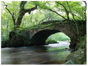 Medieval Bridge2