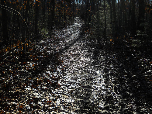 silver path