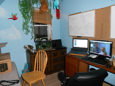 Office 4