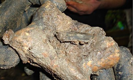 Bone and tool found at Amesbury site