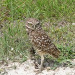IMG_5318 (2)
