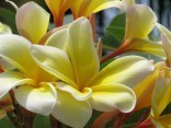 IMG_5311 (2)