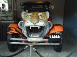 Tiger balm car
