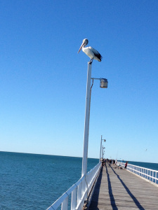 Hervey Bay 2