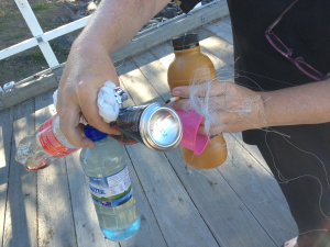 Hervey Bay 3