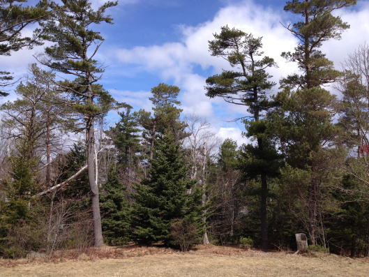 View from Point Pleasant Park Pavilion