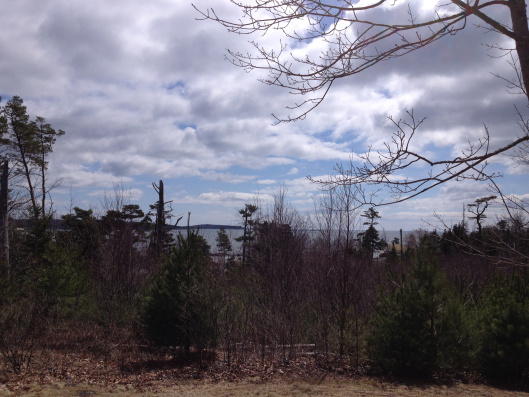 View from the pavilion